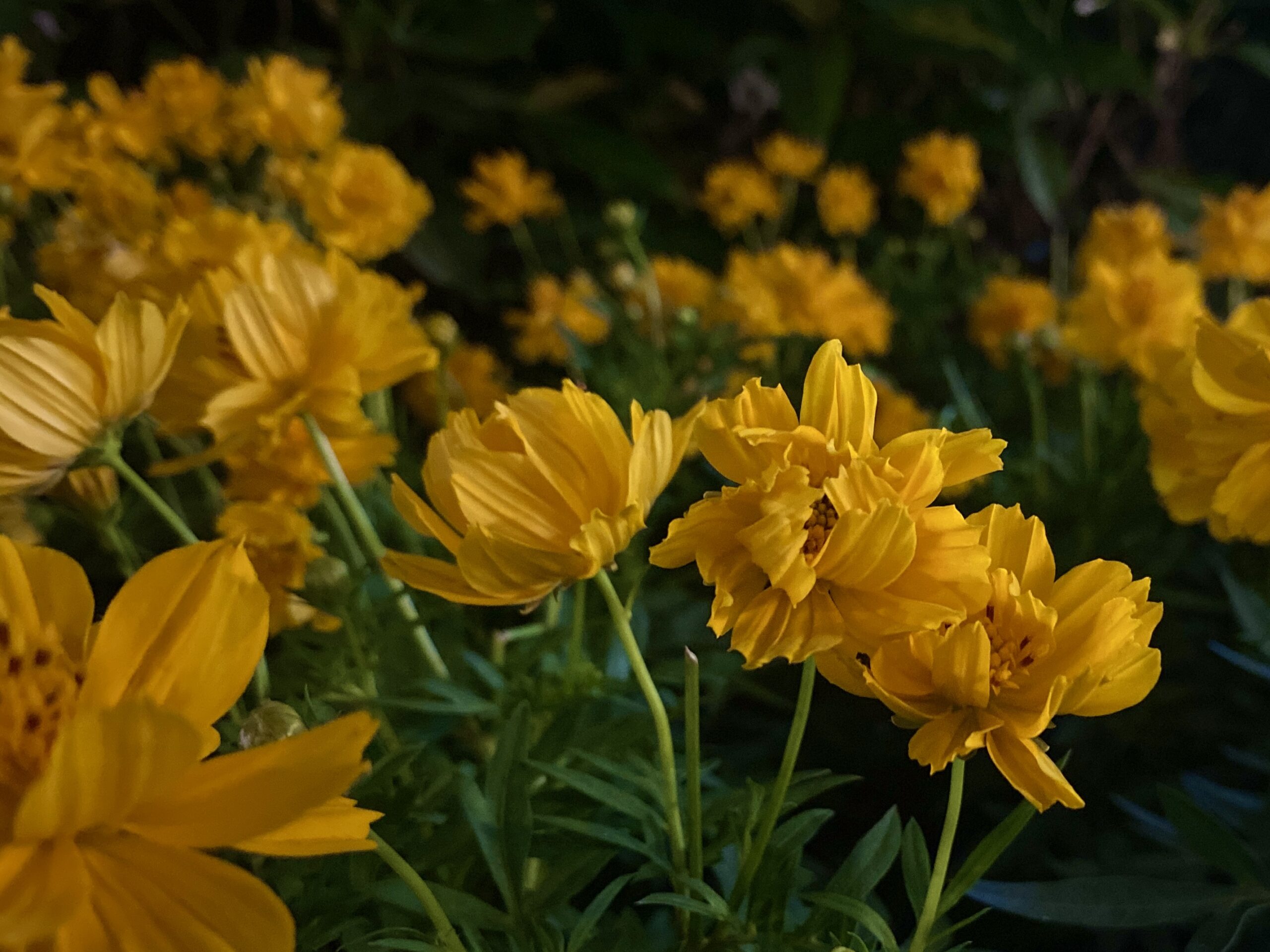 Một đứa trẻ biết cảm nhận cái đẹp – Là một người lớn không dễ gục ngã!