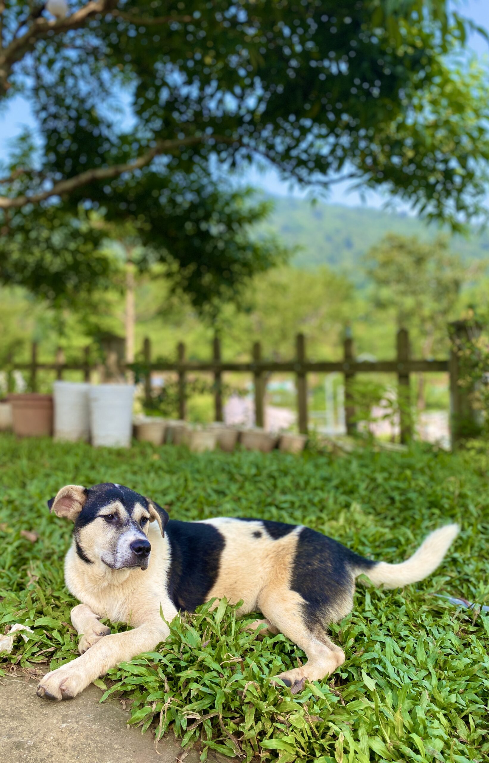 Thách thức cha mẹ con cái 8